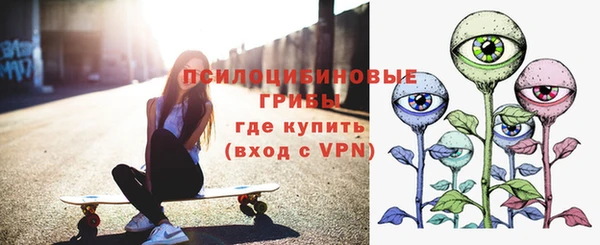 соль ск Армянск